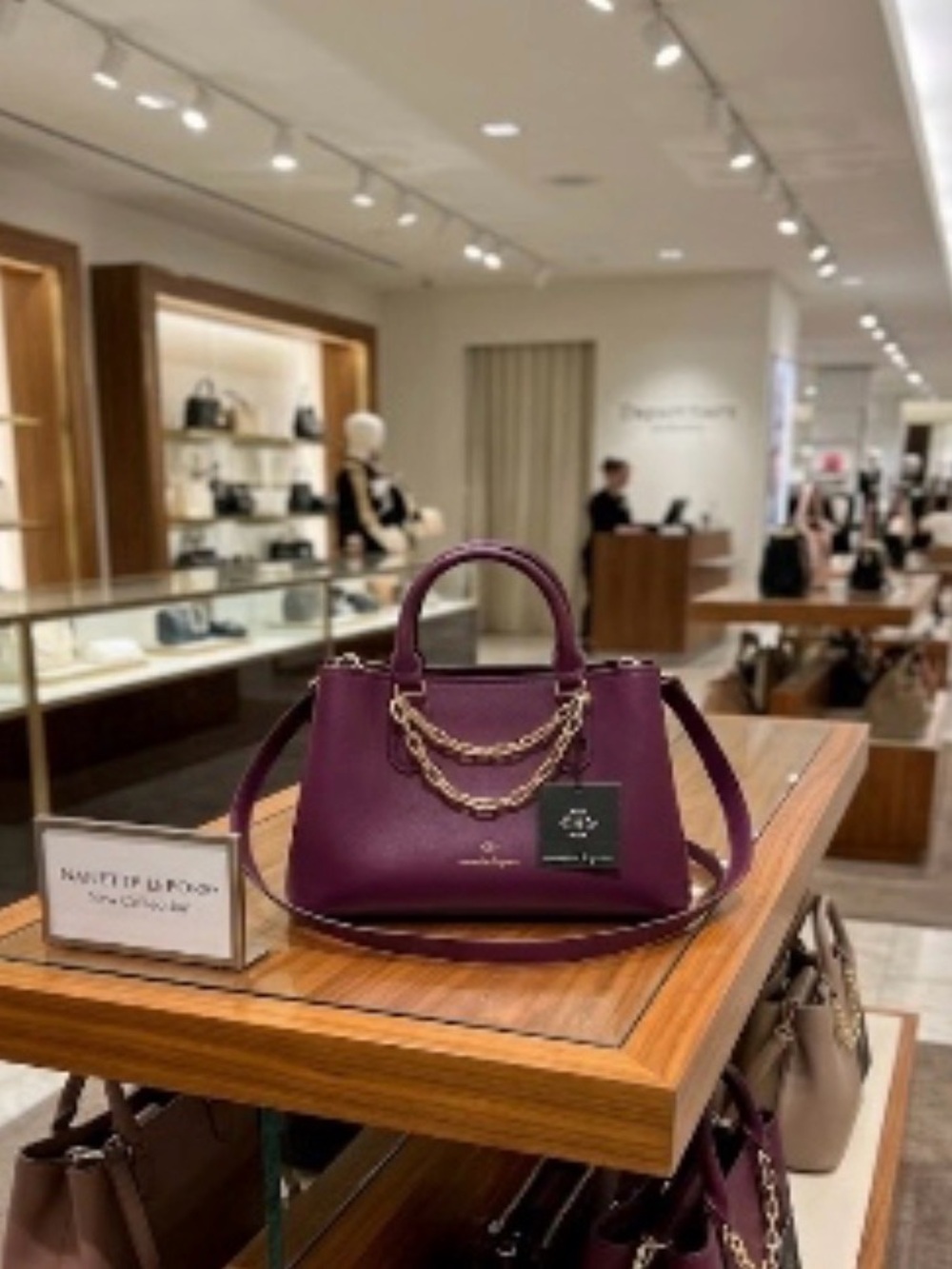Nanette Lenore Plum Satchel Handbag NWT